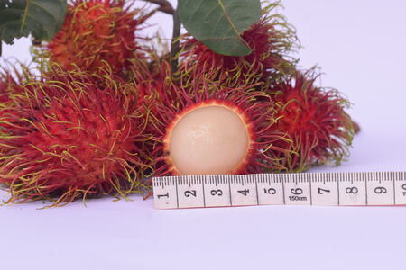 Rambutan for export